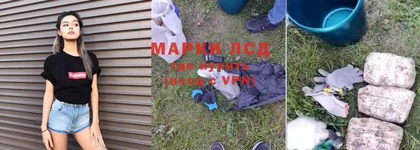 спиды Нея