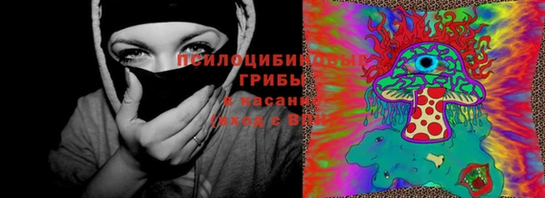спиды Нея