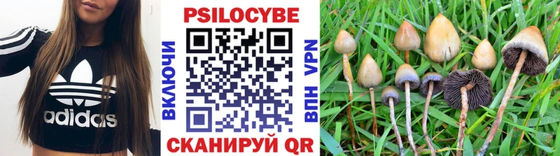 Купить закладки  Обь  Галлюциногенные грибы прущие грибы 